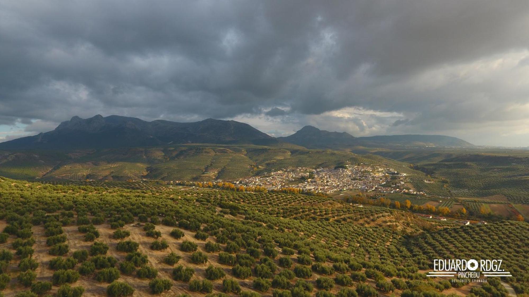 Alojamiento Rural Caserio De La Fuente Deifontes Dış mekan fotoğraf
