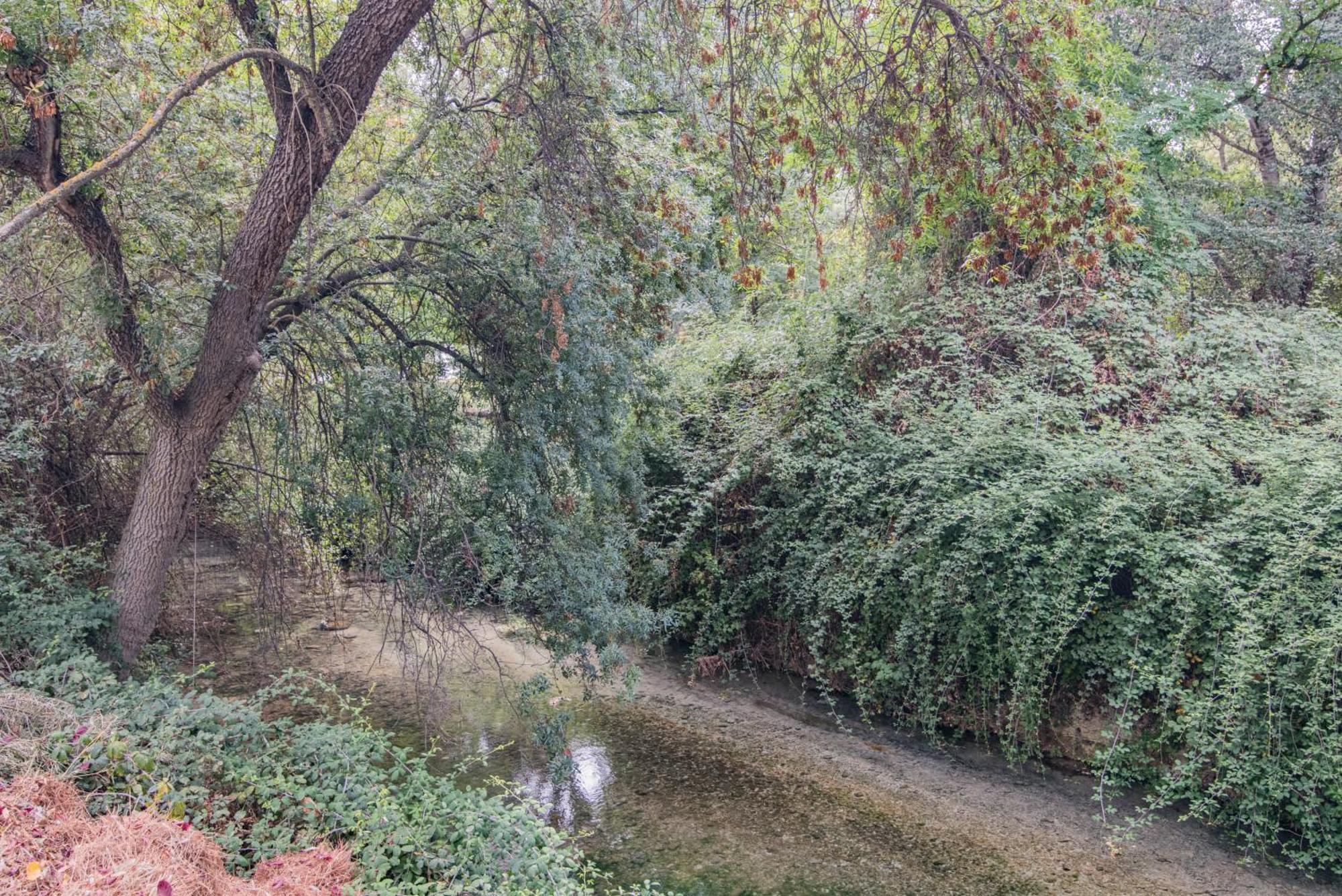 Alojamiento Rural Caserio De La Fuente Deifontes Dış mekan fotoğraf